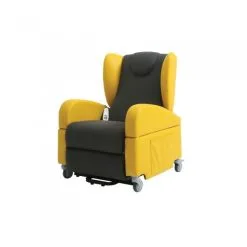 Fauteuil Releveur Proclassic